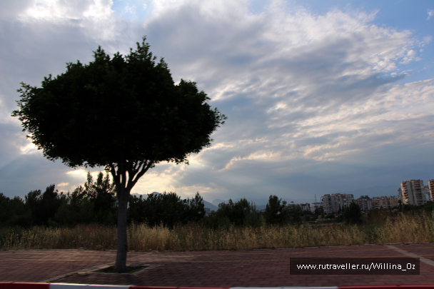 photo 1108854