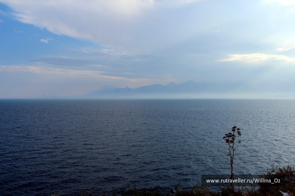 photo 1108858