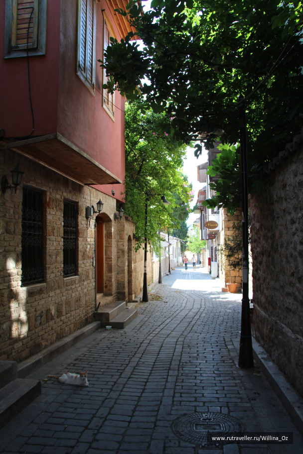 photo 1108875
