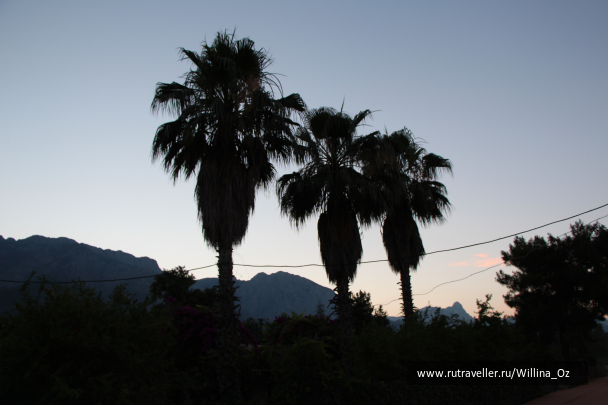 photo 1108924