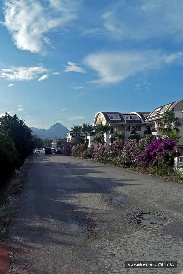 photo 1108925