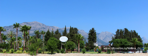 photo 1108939