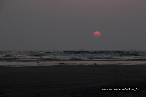 photo 1439659