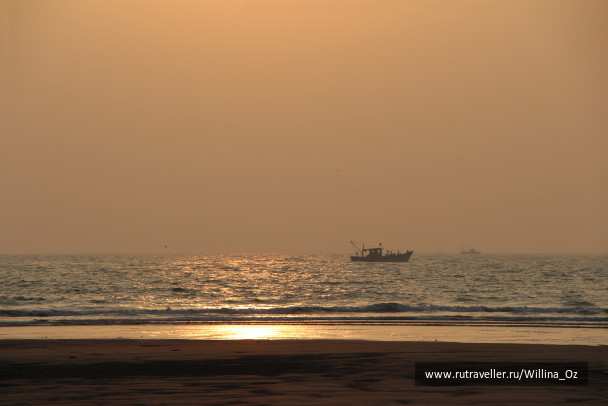 photo 1439662