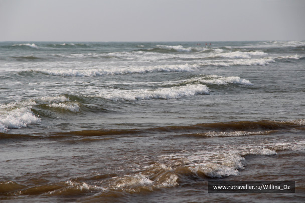photo 1439666