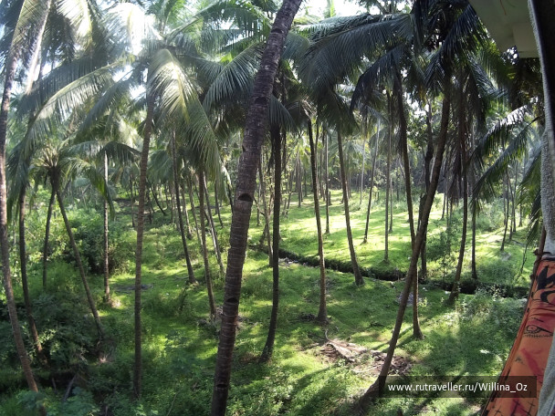 photo 1439670
