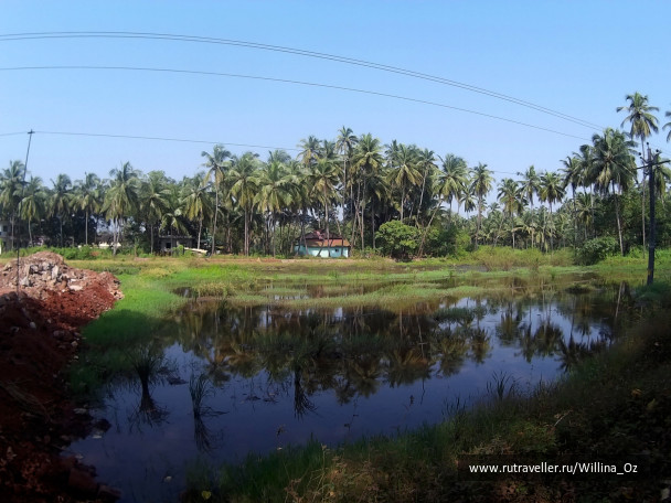 photo 1439671