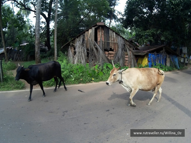 photo 1439674