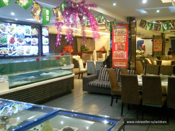 photo 235838