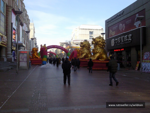 photo 235839