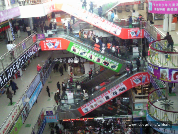 photo 235841