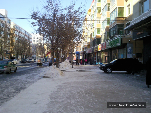 photo 235842