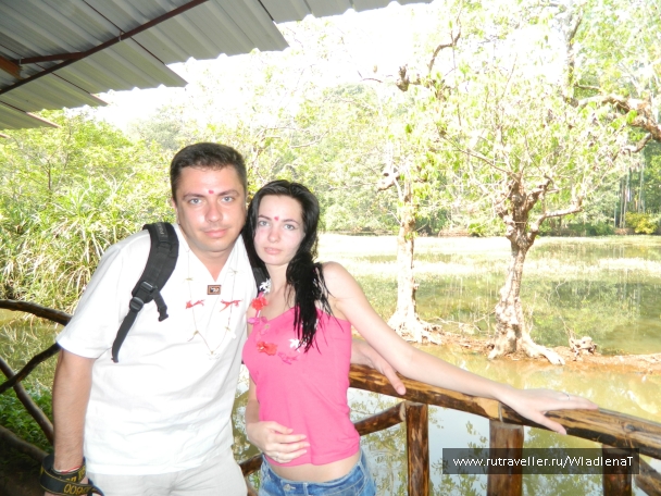 photo 797427