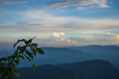 photo 991712