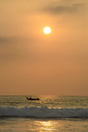 photo 991787