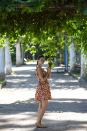 photo 1244304