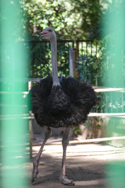 photo 1244308