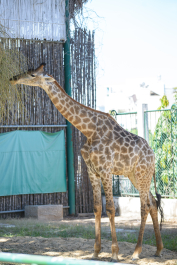 photo 1244318