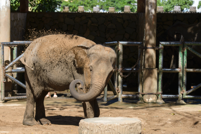 photo 1244323