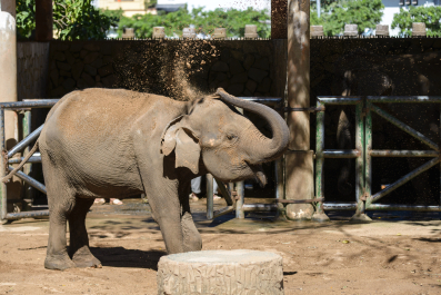 photo 1244324