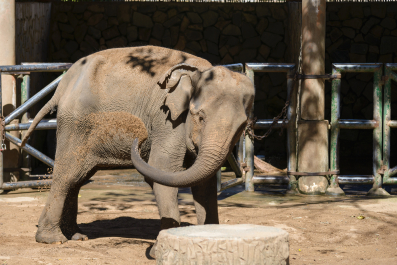 photo 1244327