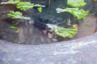 photo 1244350