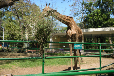 photo 1244366