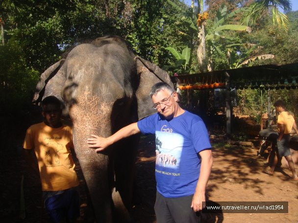 photo 350473