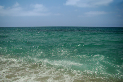 photo 330741