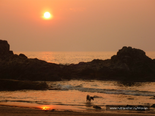 photo 127869