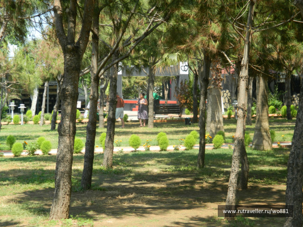 photo 133882