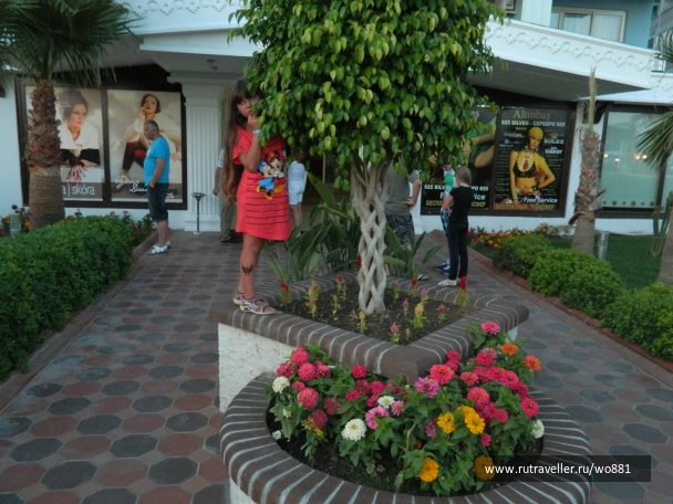photo 404579