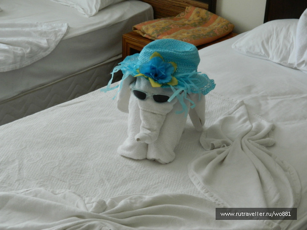 photo 404623