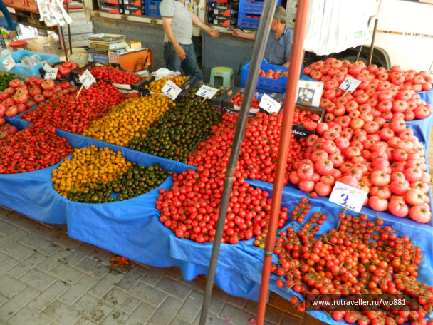 photo 435458