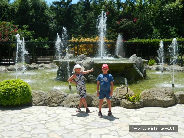 photo 435468