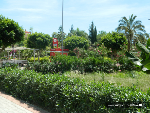 photo 435476