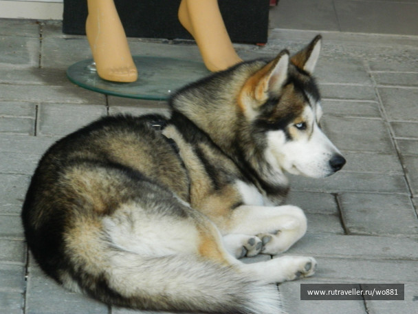 photo 436194