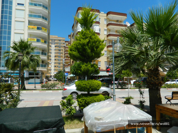 photo 436202