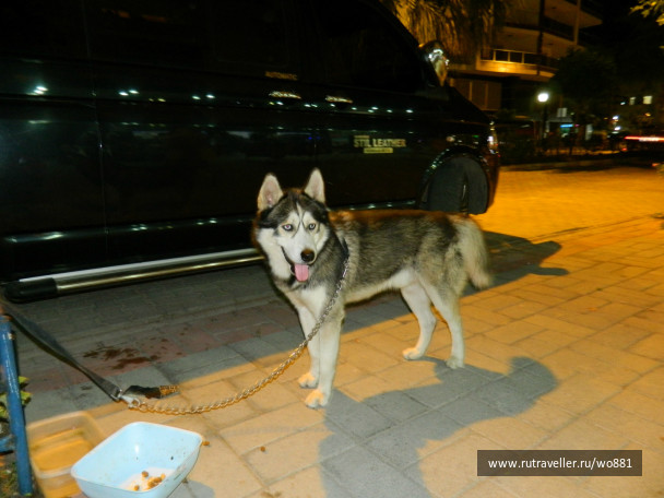 photo 436271