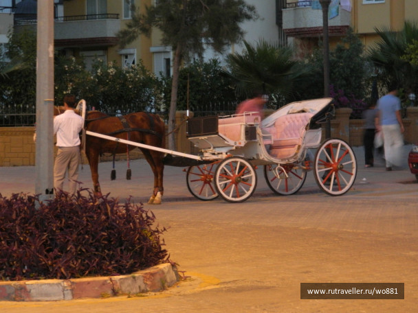 photo 436273