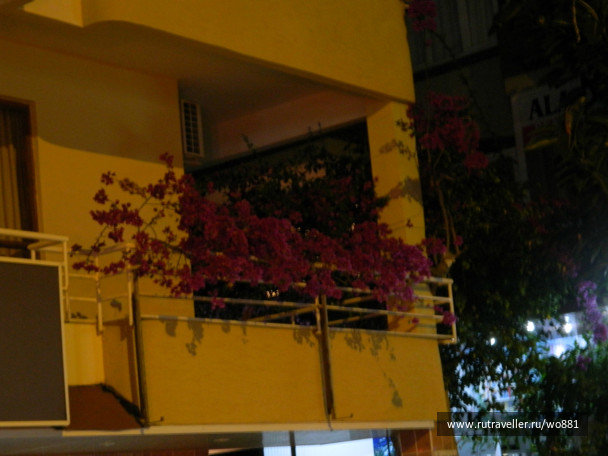 photo 436280