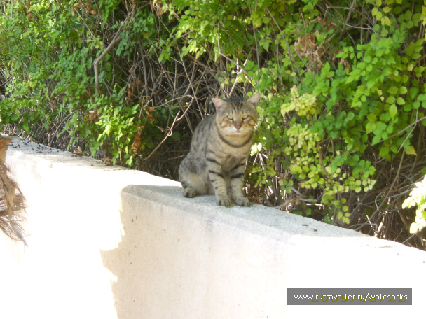 photo 398414