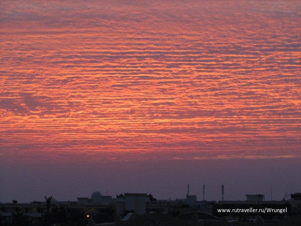 photo 253213