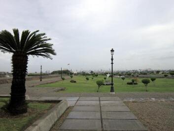 photo 242427