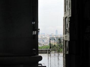 photo 242432