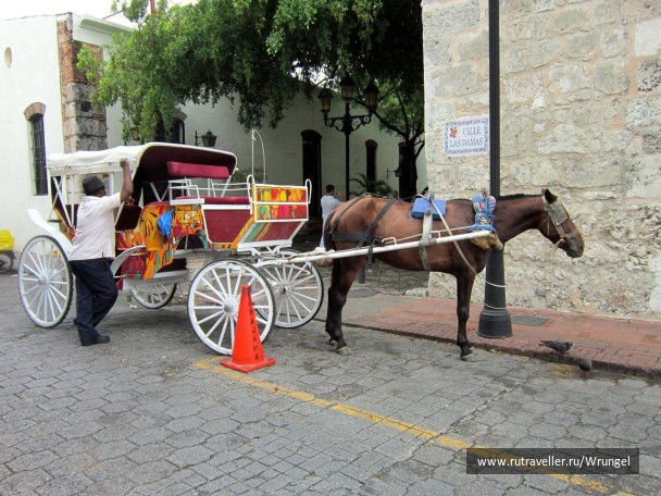 photo 257973