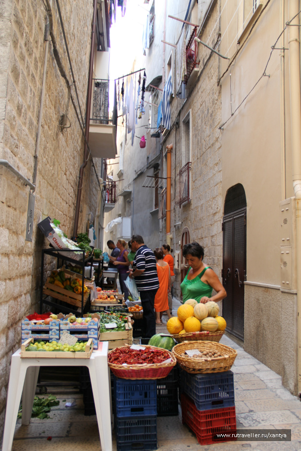 photo 254576