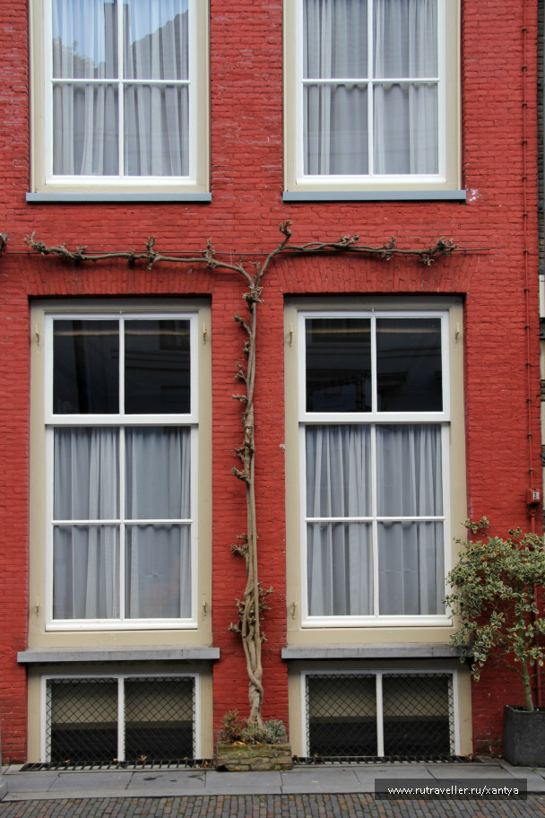photo 257263