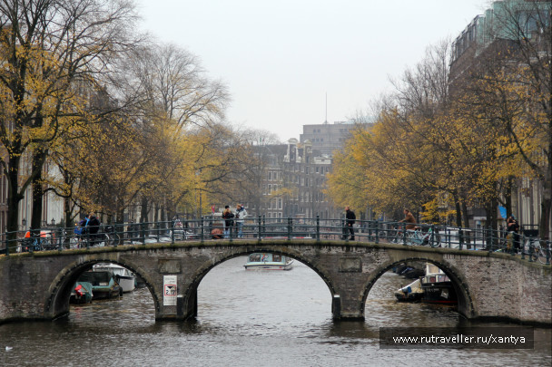 photo 257274