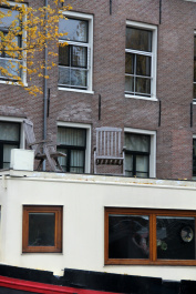 photo 257283
